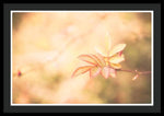Load image into Gallery viewer, Plant frills 2 - Framed Print
