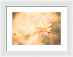 Load image into Gallery viewer, Plant frills 2 - Framed Print
