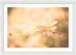 Load image into Gallery viewer, Plant frills 2 - Framed Print

