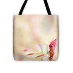 Load image into Gallery viewer, Plant frills - Tote Bag

