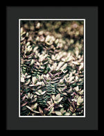 Load image into Gallery viewer, Plant Life - Framed Print
