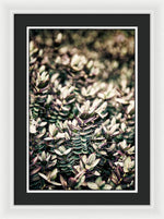 Load image into Gallery viewer, Plant Life - Framed Print
