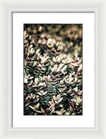 Load image into Gallery viewer, Plant Life - Framed Print
