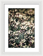 Load image into Gallery viewer, Plant Life - Framed Print
