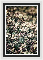 Load image into Gallery viewer, Plant Life - Framed Print
