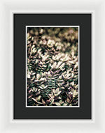 Load image into Gallery viewer, Plant Life - Framed Print
