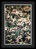 Load image into Gallery viewer, Plant Life - Framed Print
