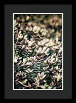 Load image into Gallery viewer, Plant Life - Framed Print
