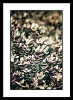 Load image into Gallery viewer, Plant Life - Framed Print
