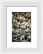 Load image into Gallery viewer, Plant Life - Framed Print
