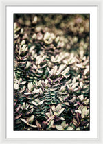 Load image into Gallery viewer, Plant Life - Framed Print
