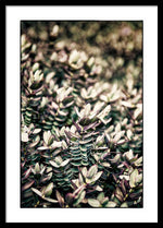 Load image into Gallery viewer, Plant Life - Framed Print
