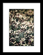 Load image into Gallery viewer, Plant Life - Framed Print
