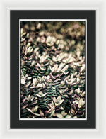 Load image into Gallery viewer, Plant Life - Framed Print
