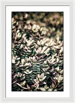 Load image into Gallery viewer, Plant Life - Framed Print
