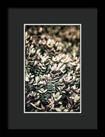 Load image into Gallery viewer, Plant Life - Framed Print
