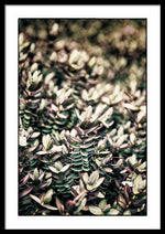 Load image into Gallery viewer, Plant Life - Framed Print
