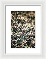 Load image into Gallery viewer, Plant Life - Framed Print
