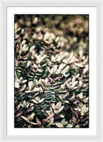 Load image into Gallery viewer, Plant Life - Framed Print
