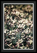 Load image into Gallery viewer, Plant Life - Framed Print
