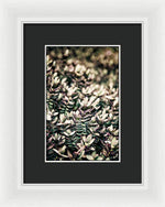 Load image into Gallery viewer, Plant Life - Framed Print
