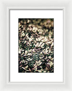 Load image into Gallery viewer, Plant Life - Framed Print

