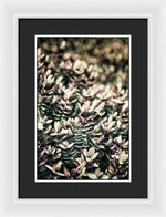 Load image into Gallery viewer, Plant Life - Framed Print
