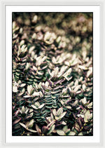 Load image into Gallery viewer, Plant Life - Framed Print
