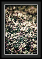 Load image into Gallery viewer, Plant Life - Framed Print
