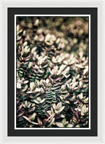 Load image into Gallery viewer, Plant Life - Framed Print
