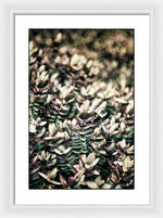 Load image into Gallery viewer, Plant Life - Framed Print
