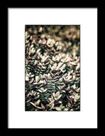 Load image into Gallery viewer, Plant Life - Framed Print
