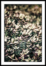 Load image into Gallery viewer, Plant Life - Framed Print

