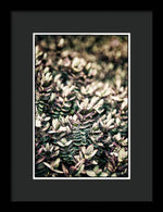 Load image into Gallery viewer, Plant Life - Framed Print
