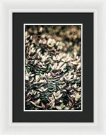 Load image into Gallery viewer, Plant Life - Framed Print
