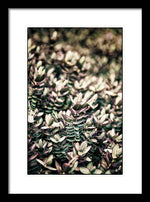 Load image into Gallery viewer, Plant Life - Framed Print
