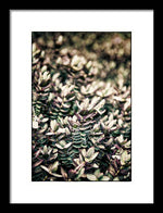 Load image into Gallery viewer, Plant Life - Framed Print
