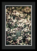 Load image into Gallery viewer, Plant Life - Framed Print
