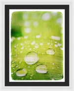 Load image into Gallery viewer, Raindrops on Leaf - Framed Print
