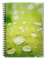 Load image into Gallery viewer, Raindrops on Leaf - Spiral Notebook
