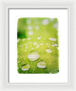 Load image into Gallery viewer, Raindrops on Leaf - Framed Print
