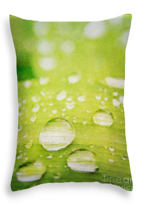 Raindrops on Leaf - Throw Pillow