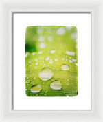 Load image into Gallery viewer, Raindrops on Leaf - Framed Print
