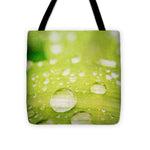 Load image into Gallery viewer, Raindrops on Leaf - Tote Bag
