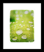 Load image into Gallery viewer, Raindrops on Leaf - Framed Print
