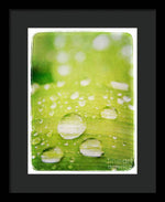Load image into Gallery viewer, Raindrops on Leaf - Framed Print
