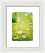 Load image into Gallery viewer, Raindrops on Leaf - Framed Print
