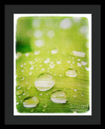 Load image into Gallery viewer, Raindrops on Leaf - Framed Print
