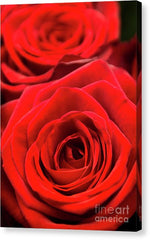 Load image into Gallery viewer, Red Roses - Grand Prix - Canvas Print
