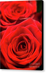 Load image into Gallery viewer, Red Roses - Grand Prix - Canvas Print

